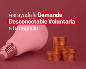 Demanda desconectable