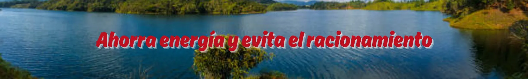 Consumo